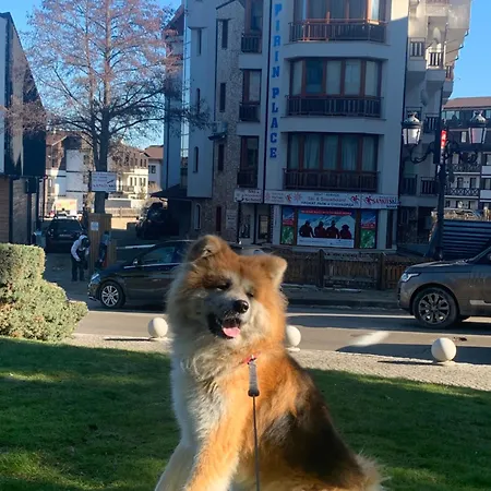 To Door Apartment Bansko